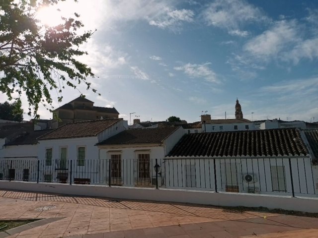 El Carmen - vista monumental (2)